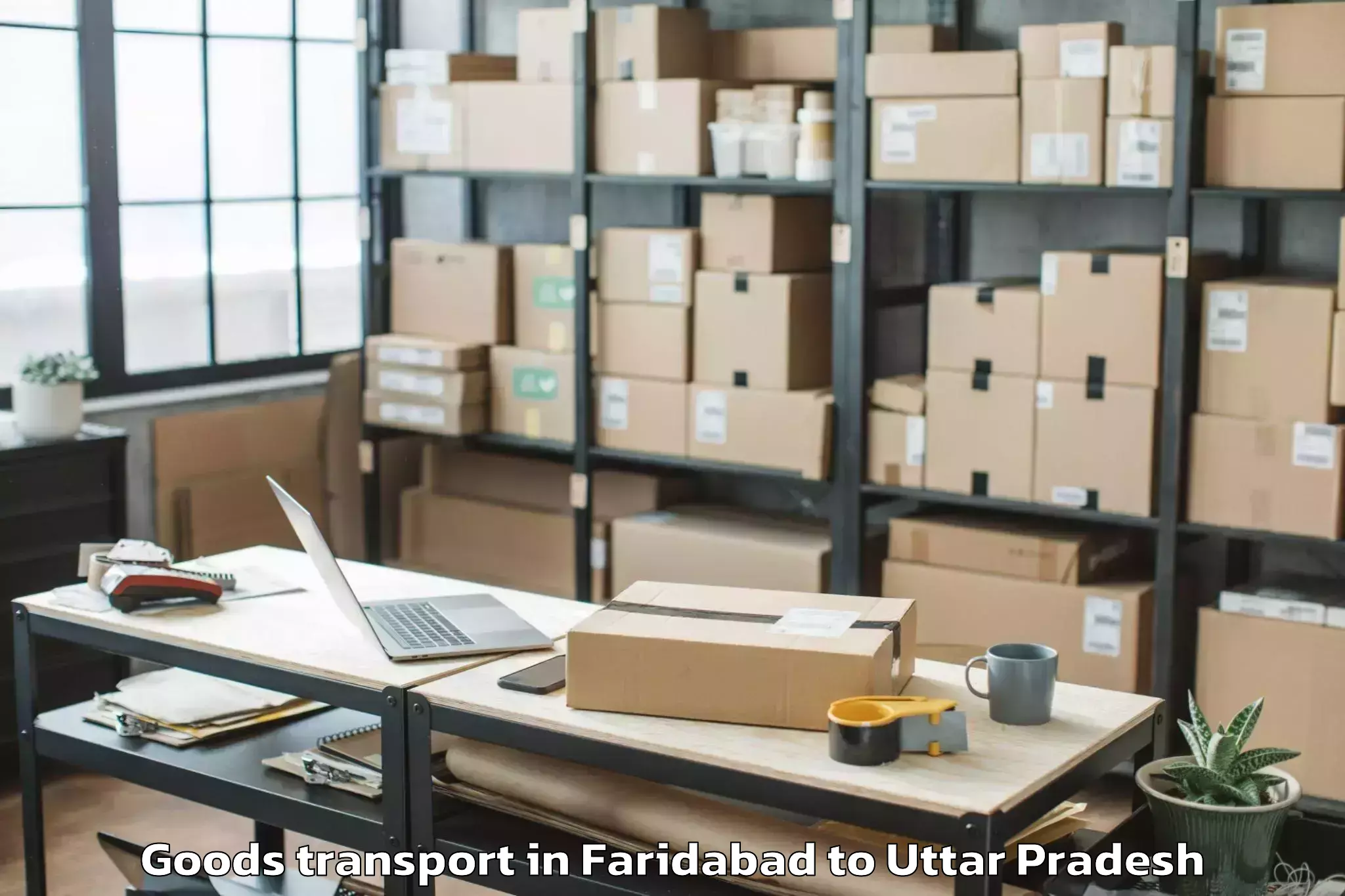 Trusted Faridabad to Usehat Goods Transport